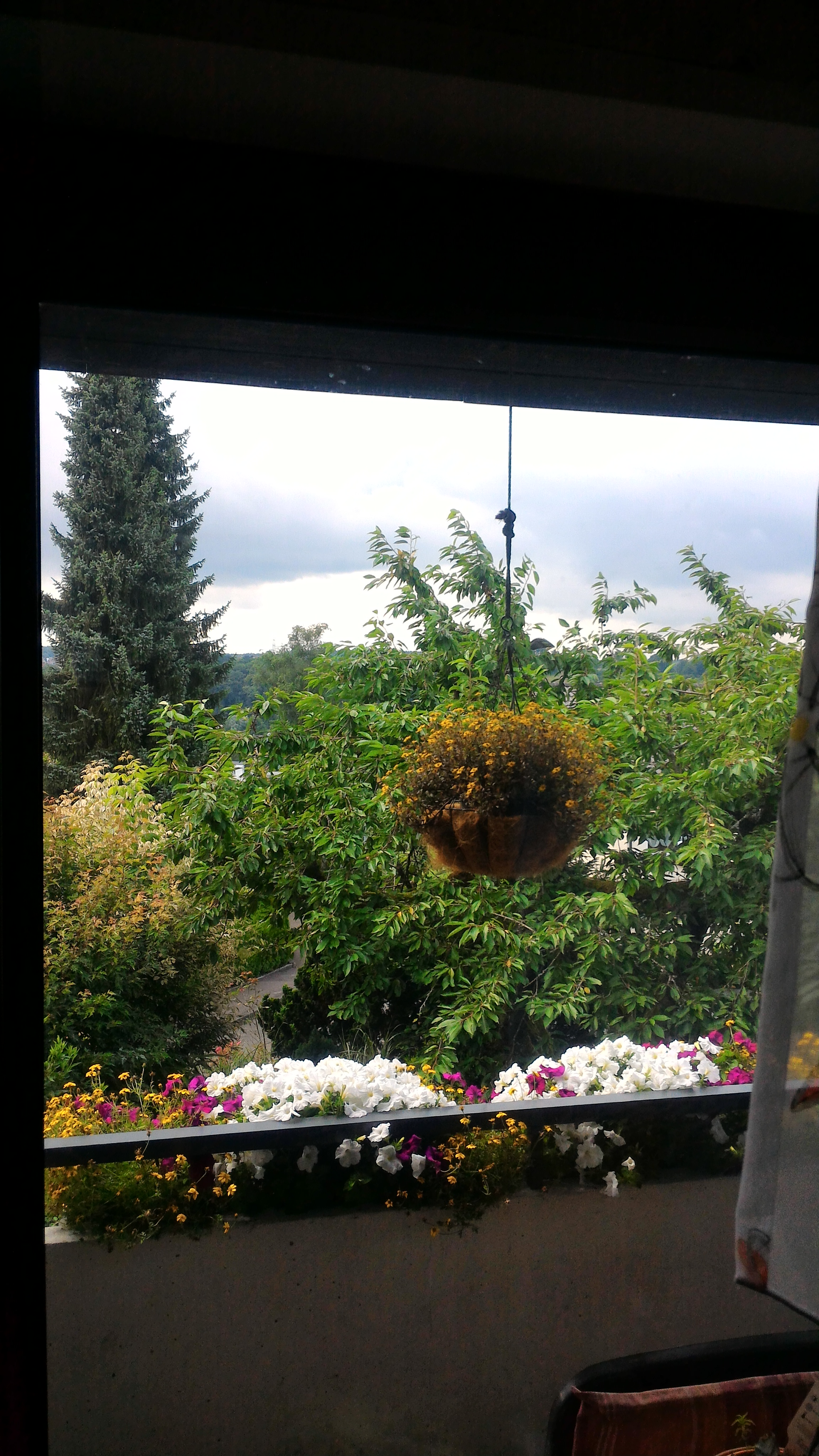 A1 Einbruchschutzfolie Sicherheitsfolie an einem Balkonfenster - Innenansicht