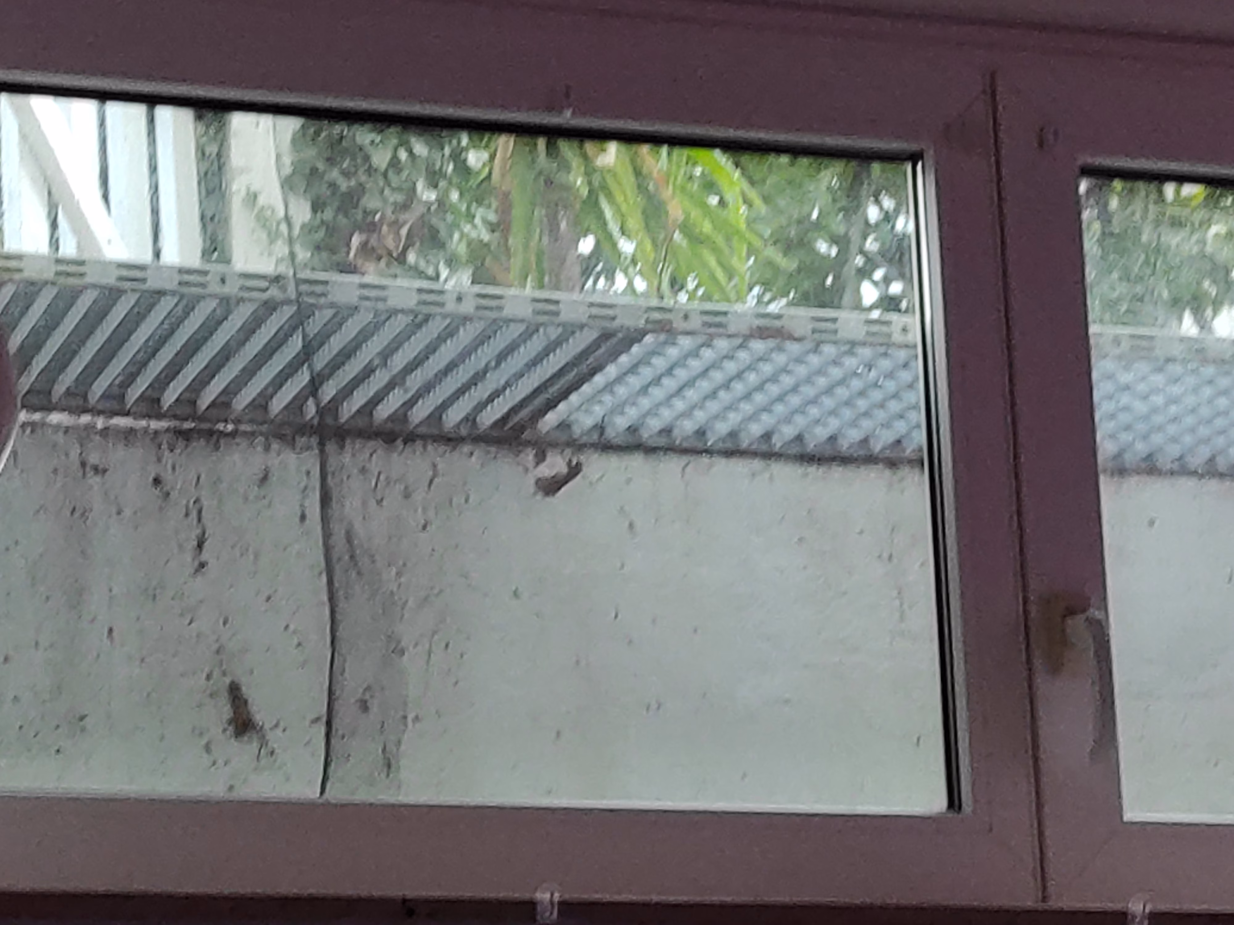 Spiegelfolie auf einem Flügelfenster im Souterrain