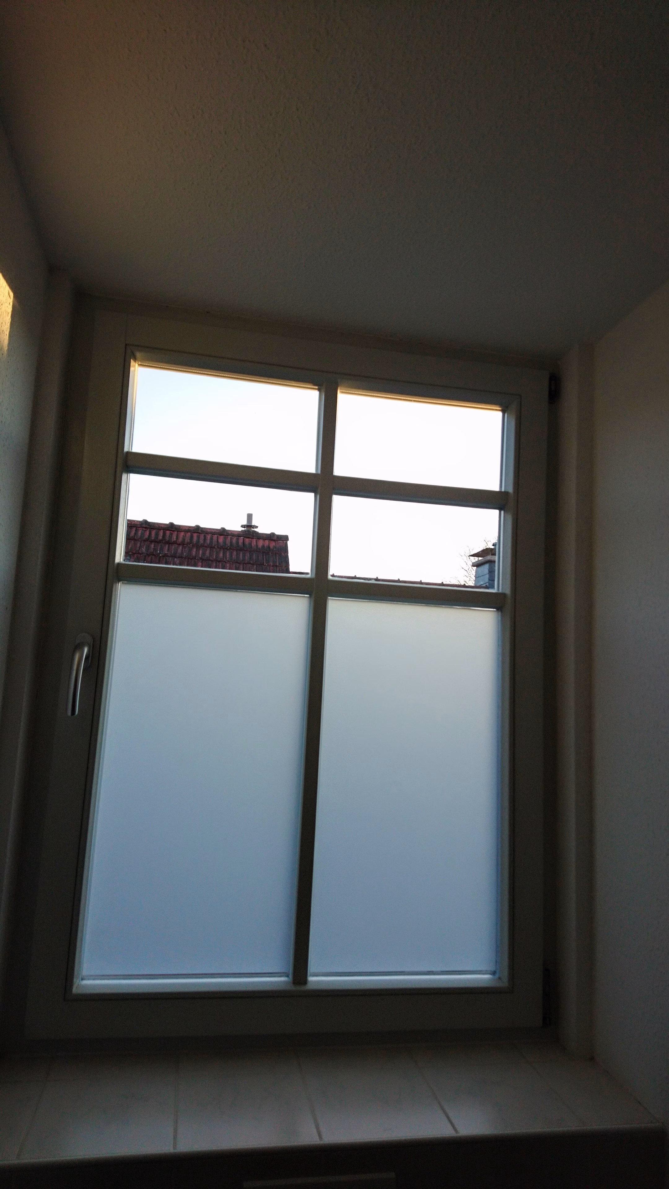 Milchglasfolie auf Sprossenfenster