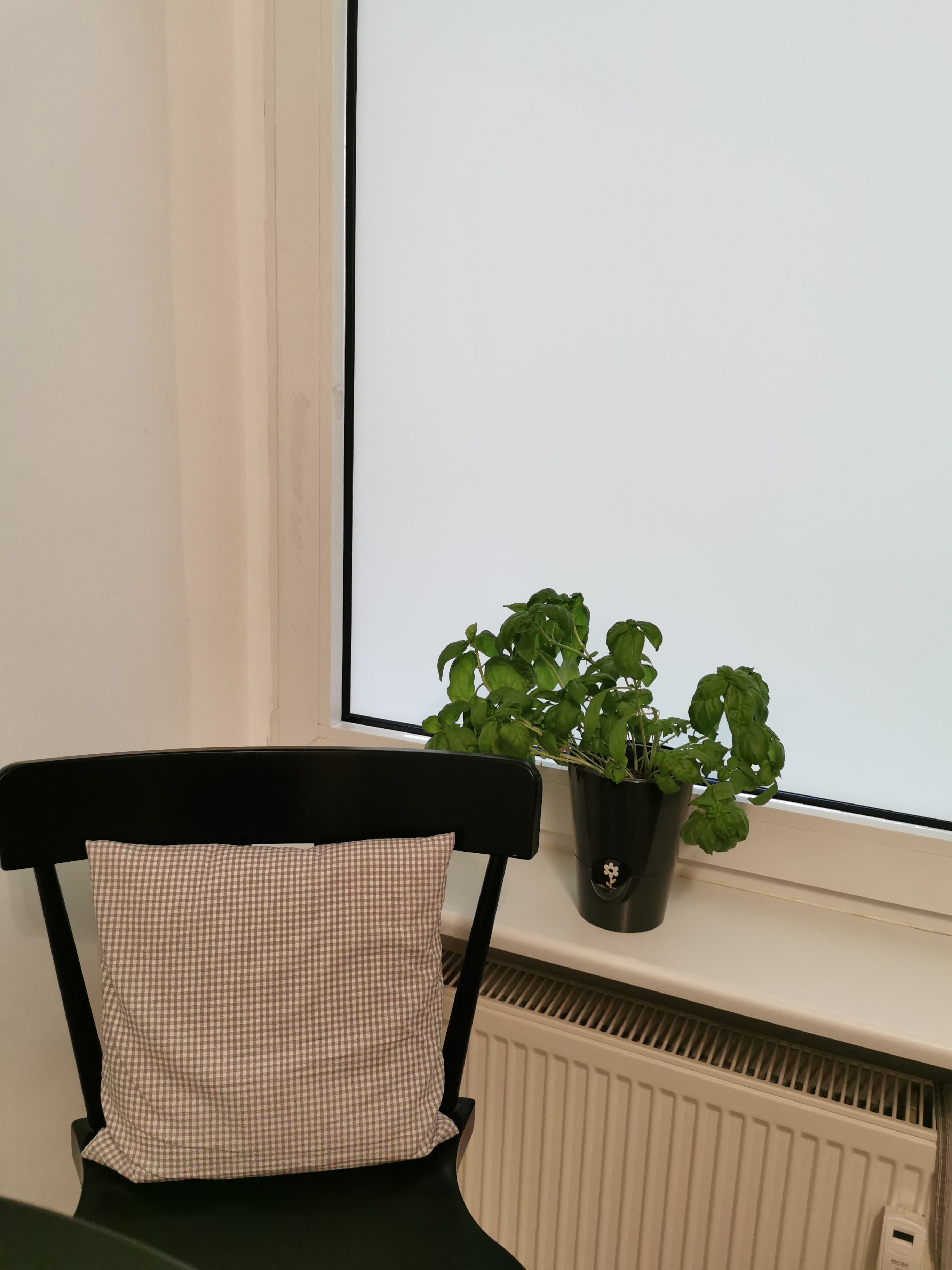 Sichtschutz Fensterfolie in opak weiß