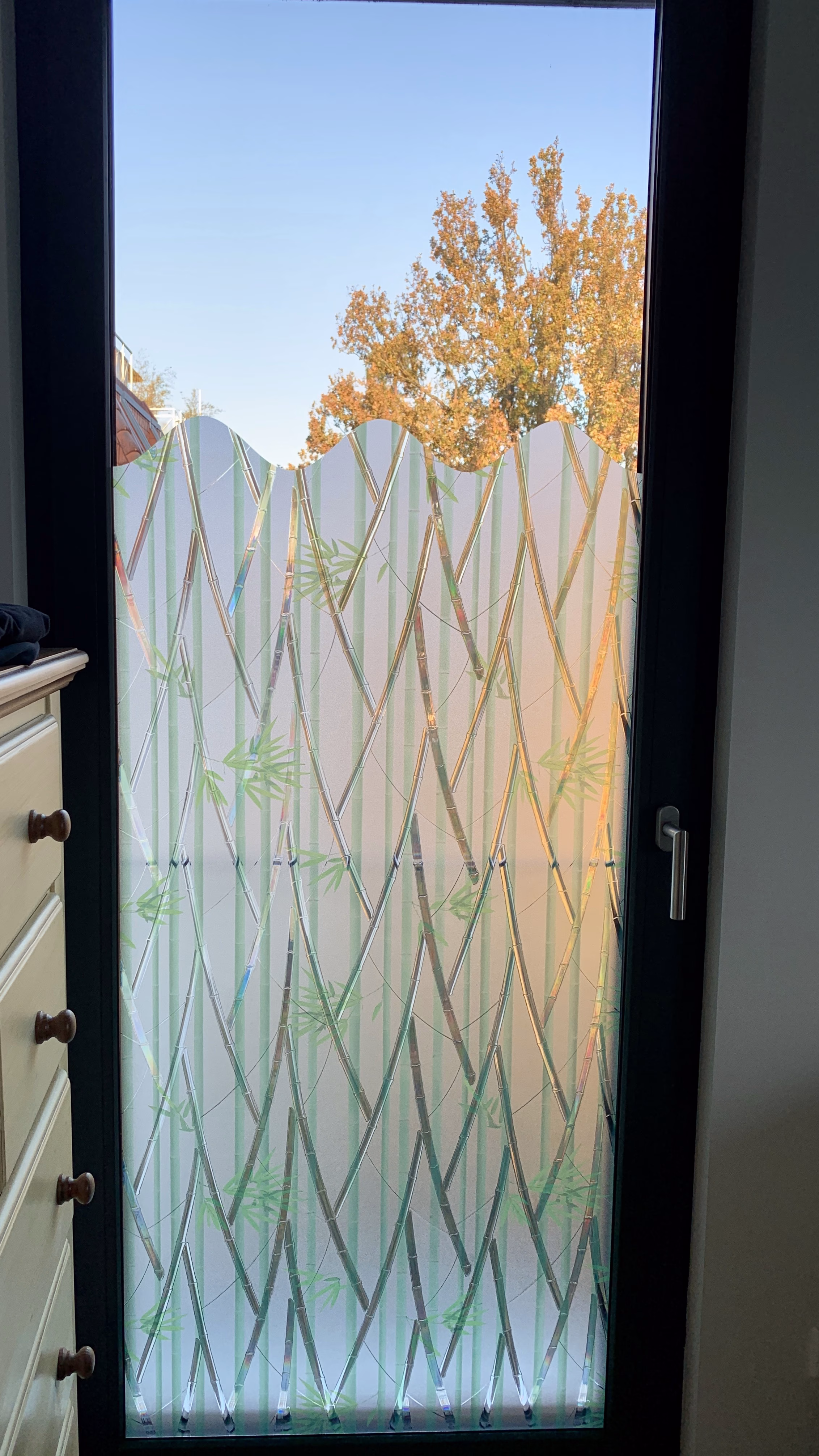 Fensterfolie Bambus mit Wellenoberkante