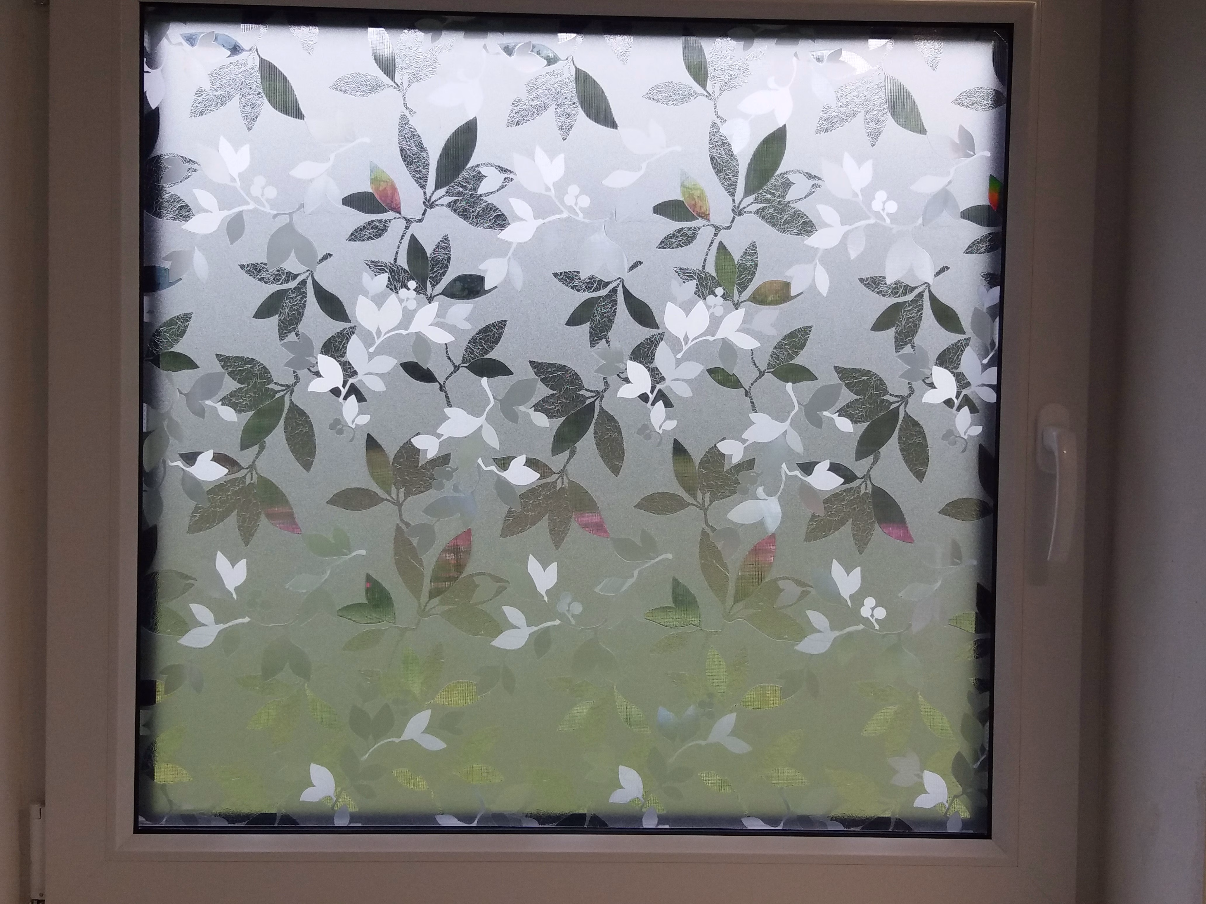 Adhäsionsfolie mit Blättermotiv auf einem Fenster