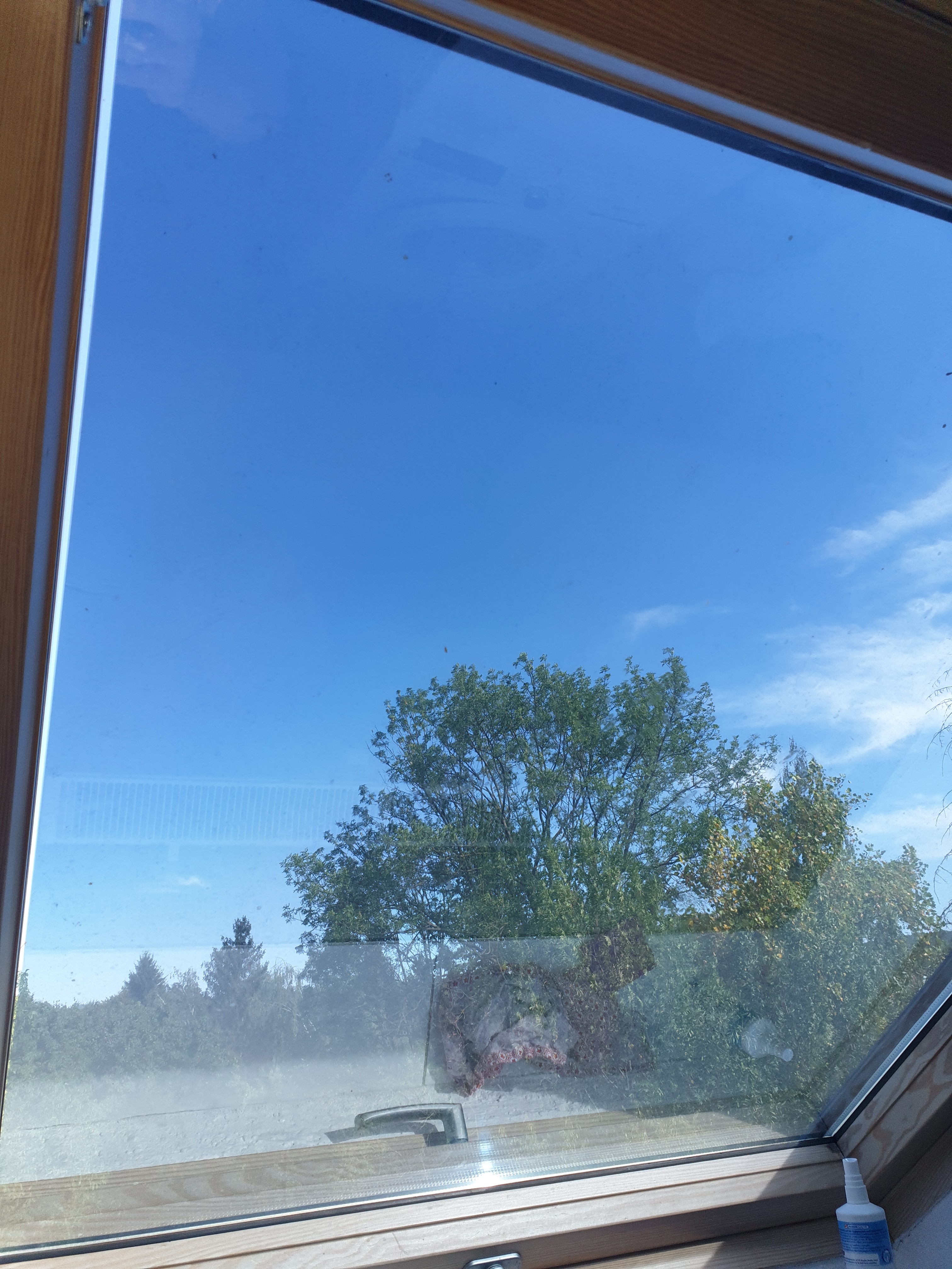 Sonnenschutzfolie, silber dunkel Baum