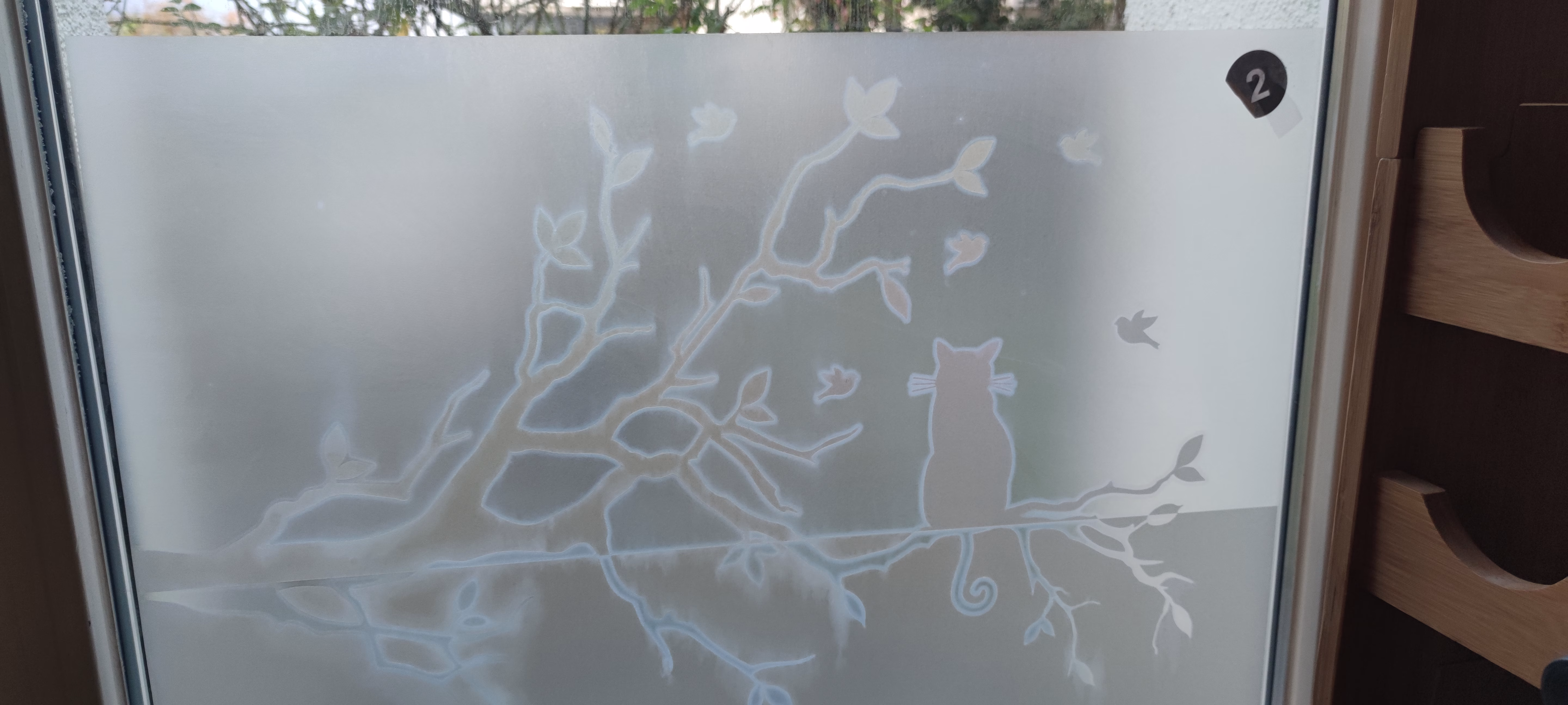 1667401443 1667401443