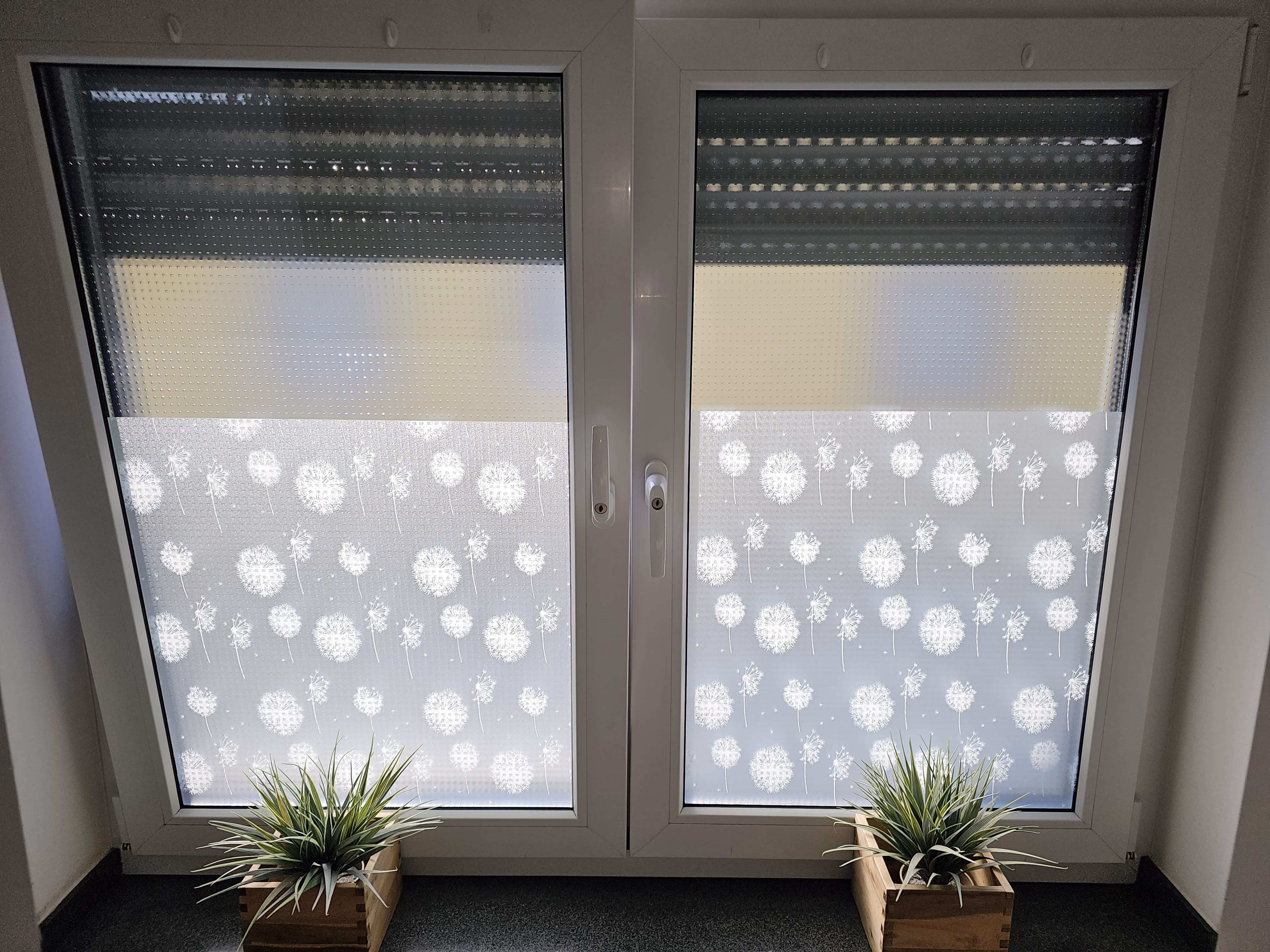 Adhäsionsfolie, transparent matt mit Pusteblumen