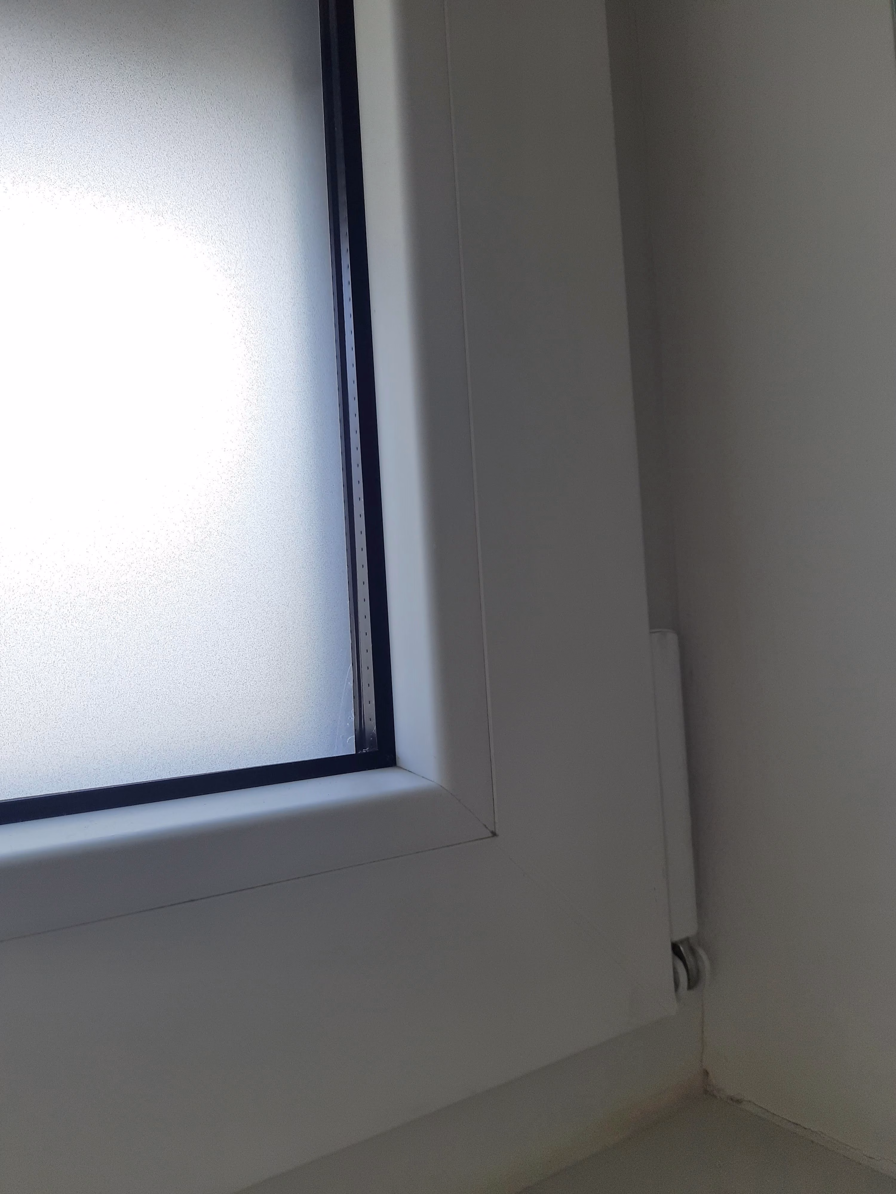 1725273906 1725273906