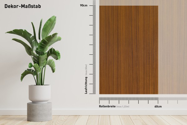 Eukalyptus