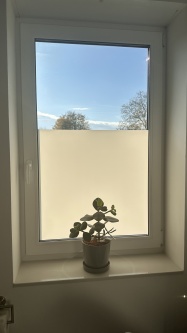 Sonnenlicht scheint durch blickdichte Fensterfolie