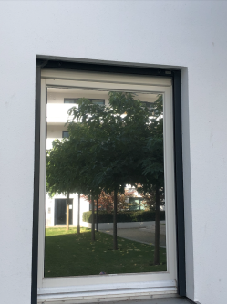 Fensterfolie in silber verspiegelt als Zuschnitt nach Maß