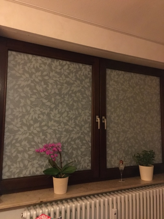 Matte Sichtschutzfolie mit einem Blättermotiv auf Wohnzimmerfenster angebracht