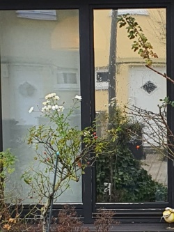 Spiegelfolie außen auf einem Fenster