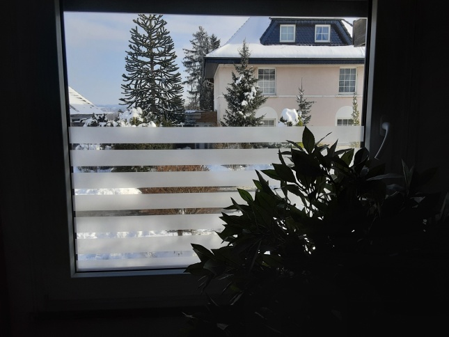 Kleberlose Streifenfolie halbhoch auf einem Fenster montiert