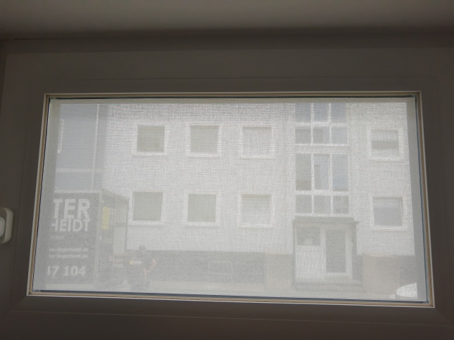 Innenansicht Squid Fensterfolie im Farbton Chalk