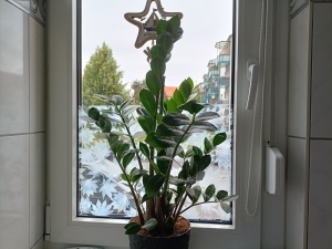 Dekorfolie, weiße Ahornblätter