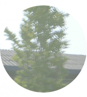 Sonnenschutzfolie, selbsthaftend, Mesh-Optik im Detail von Außen