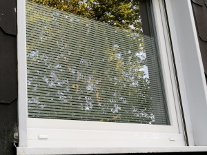Streifenfolie mit 10mm breiten Streifen halbhoch am Fenster angebracht