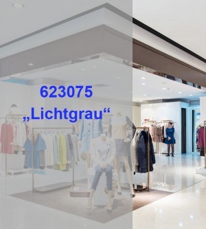 Durchsichtige Farbfolie selbstklebend Lichtgrau
