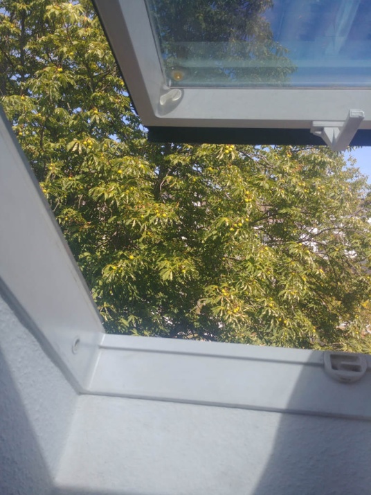 Silber mittel verspiegelte Sonnenschutzfolie auf einem geöffnetem Dachfesnter - Innenansicht