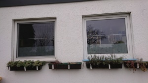 Außenansicht einer Adhäsionsfolie mit dezentem Blumenmuster