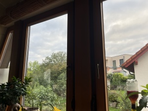 Sonnenschutzfolie, silber leicht verspiegelt