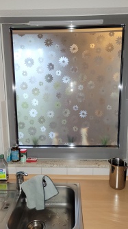 Adhäsionsfolie, transparent matt mit Gänseblümchen (geprägt)