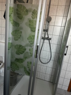 kleberlose Sichtschutzfolie mit Blätterdesign auf einer Duschwand