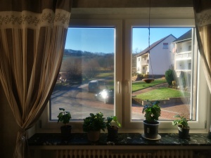 selbsthaftende Sonnenschutzfolie in Mesh-Optik