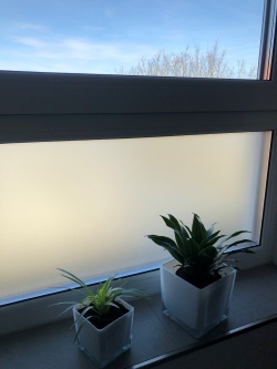 Fensterfolie Elektrostatischer Frostschutzfilm für