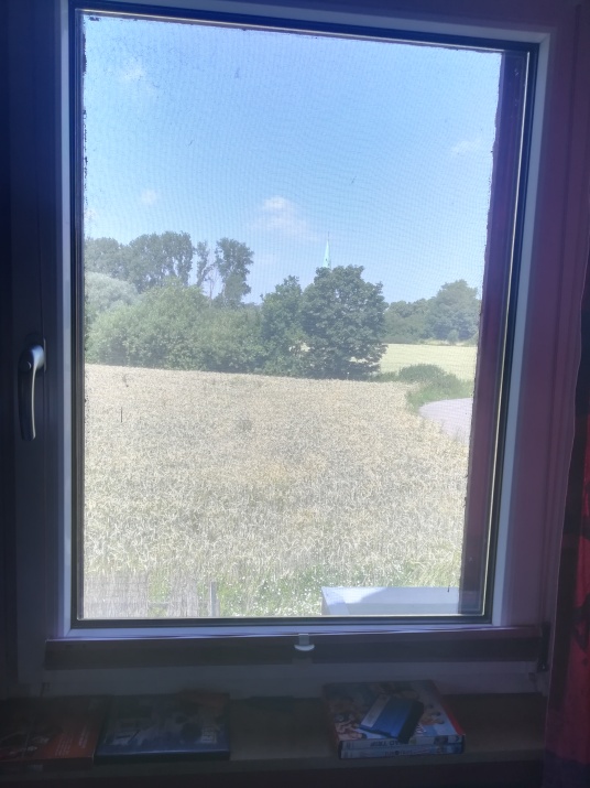 Sonnenschutzfolie hell verspiegelt mit Fliegengitter