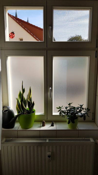 Antibakterielle Sichtschutzfolie von Hexis Pure Zone auf einem Doppelfenster montiert