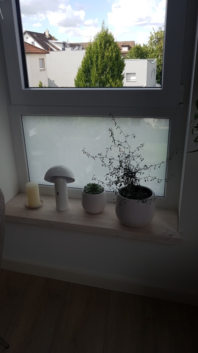 Squid Chalk auf einem feststehenden Fenster