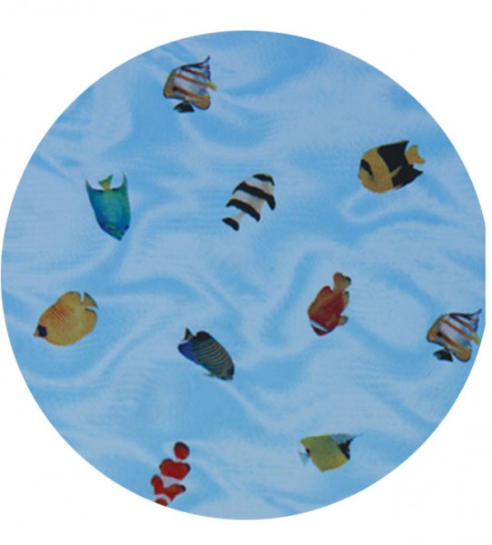 Adhäsionsfolie, kleine Fische