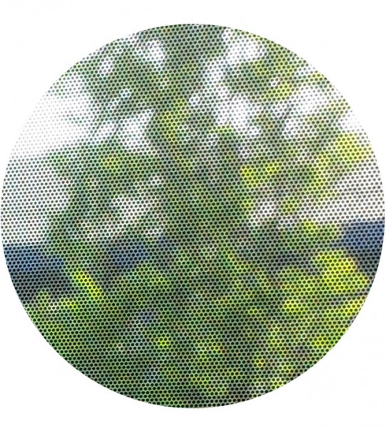 Sonnenschutzfolie, selbsthaftend, Mesh-Optik im Detail von Innen