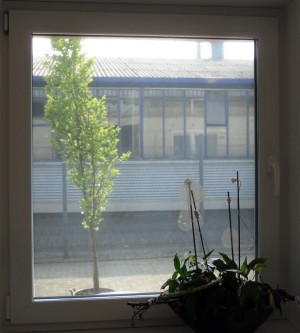 Sonnenschutzfolie, selbsthaftend, Mesh-Optik Innenansicht