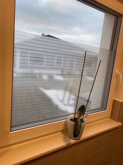 kleberlose Streifenfolie auf einem Fenster im Badezimmer