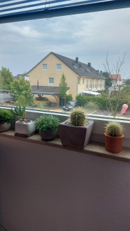 Sonnenschutzfolie, silber stark verspiegelt