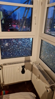 Adhäsionsfolie geprägtes Bruchglas