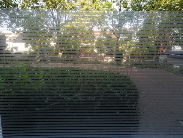 Streifenfolie: Innenansicht durch foliertes Fenster