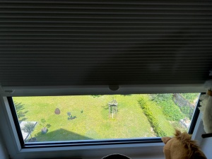 Sonnenschutzfolie, silber mittel verspiegelt