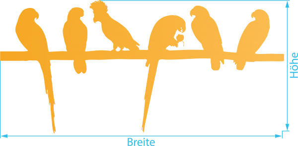 Fenstertattoo, Vögel